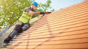 Best Sheet Metal Roofing  in San Luis Obispo, CA
